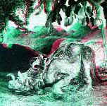 Centrosaurus apertus